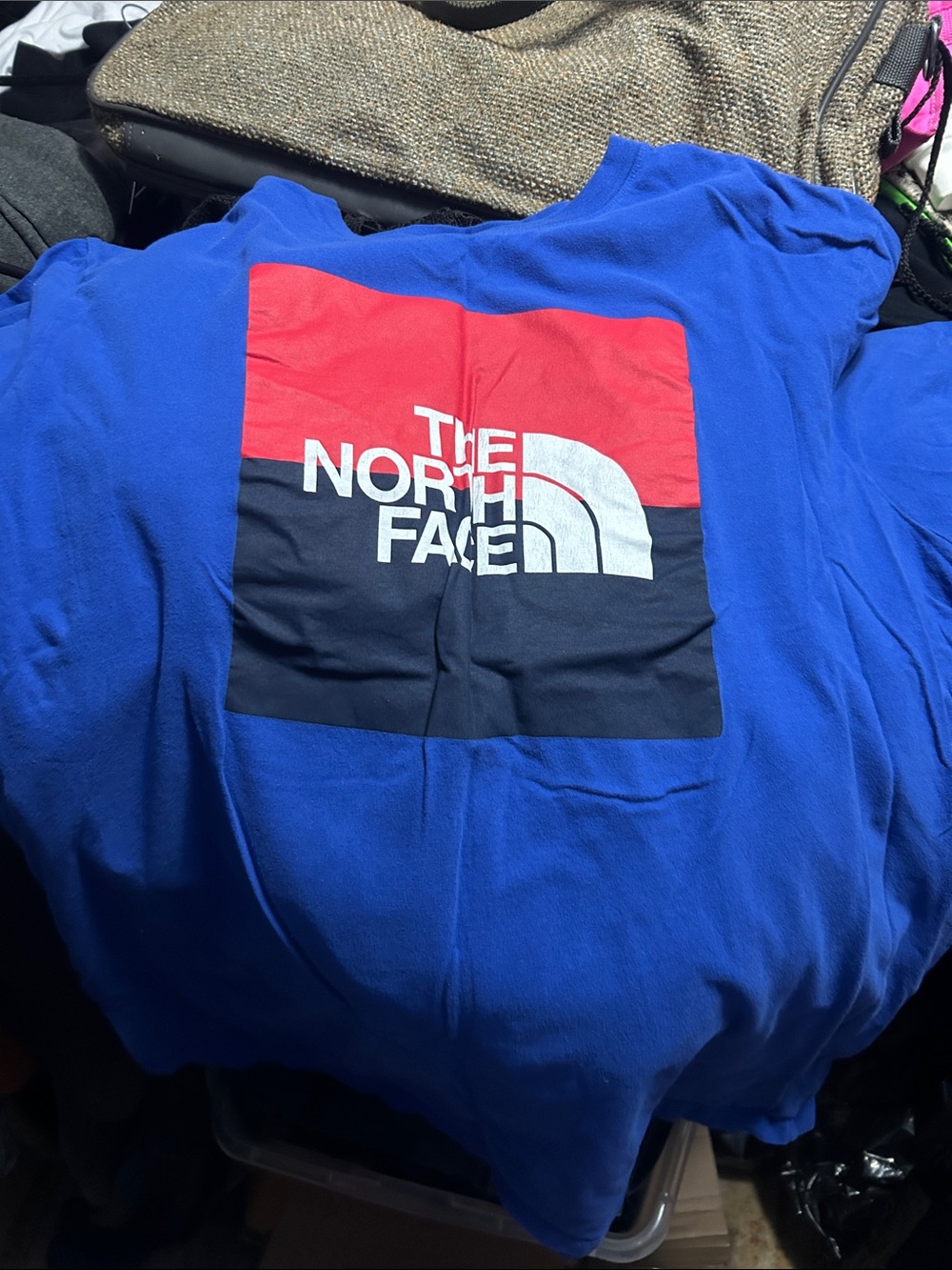 The North Face Blue & Red Logo Graphic Tee